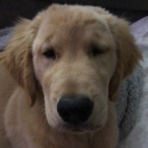 Meet your Posher, Kevin